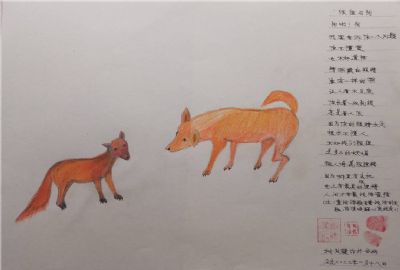 邓恢勇 会员 作品 6